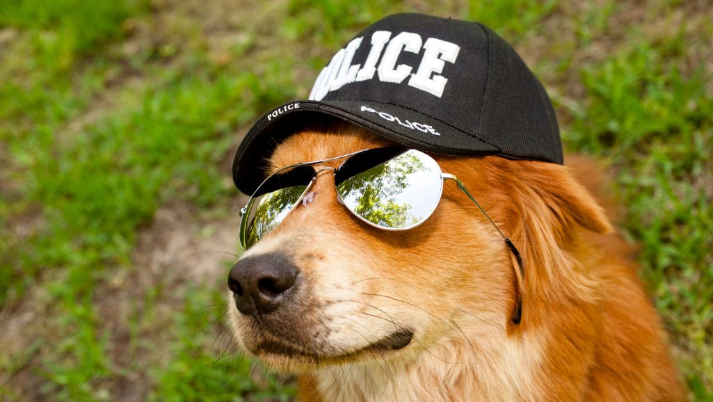 Wird Kratom im Drogentest angezeigt? Nicht unnötig in Panik geraten!